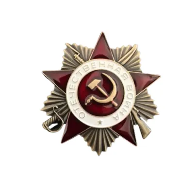 insigne-force-speciale-493 Insigna Forțelor Speciale